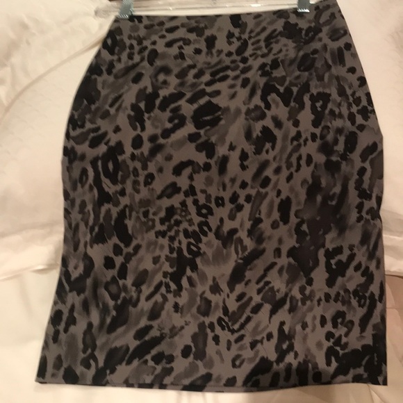 Ann Taylor Silk Skirt - Picture 2 of 5